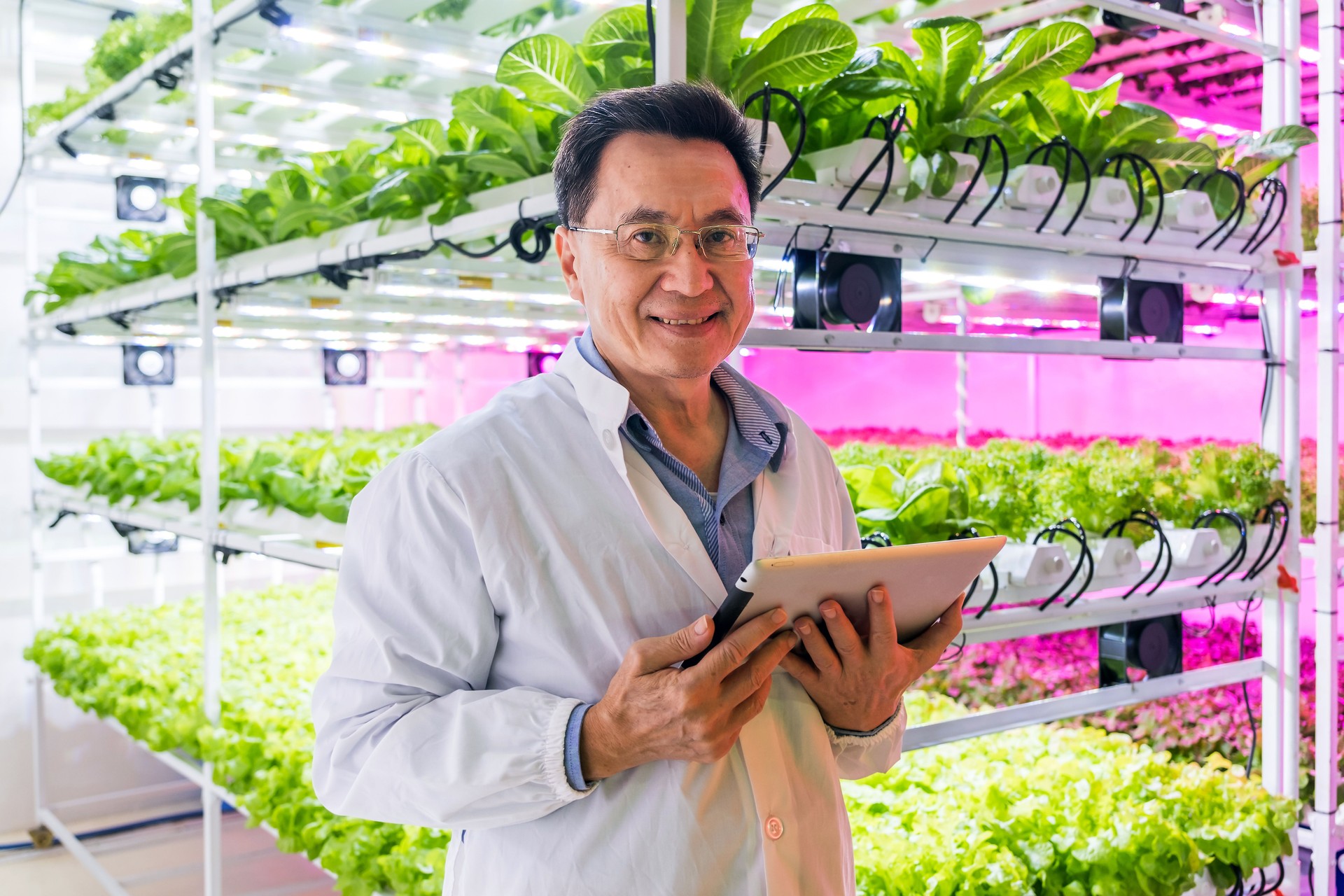 A smiling man in a lab coat holds a tablet in a vibrant indoor farm filled with lush green plants under bright pink lights.