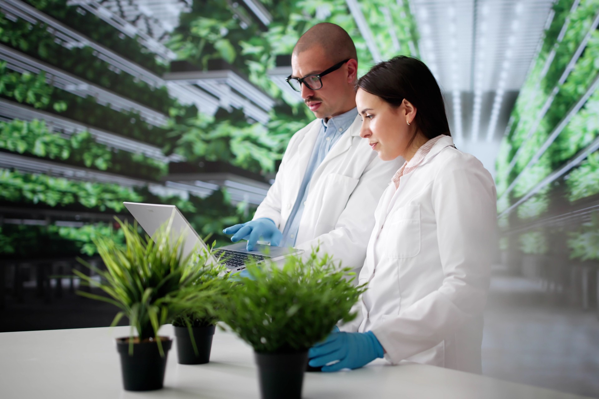 Students In Agriculture Technology Lab Research Food Farming With Computers